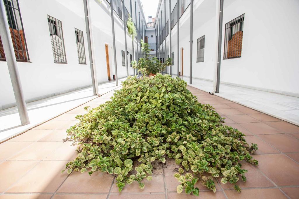 Ferienwohnung La Casa De Artista, Zona Museo Sevilla Exterior foto